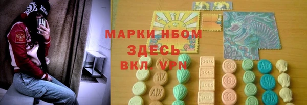 стаф Абаза