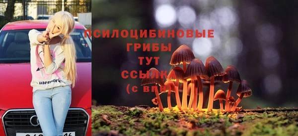 стаф Абаза